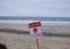 shark attack reuters 1200x630.jpg