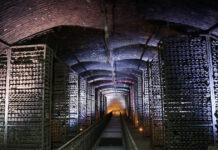 stalin wine6 29052026 1200x630.jpg