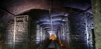 stalin wine6 29052026 1200x630.jpg