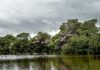 strofilia 1 1200x630.jpg