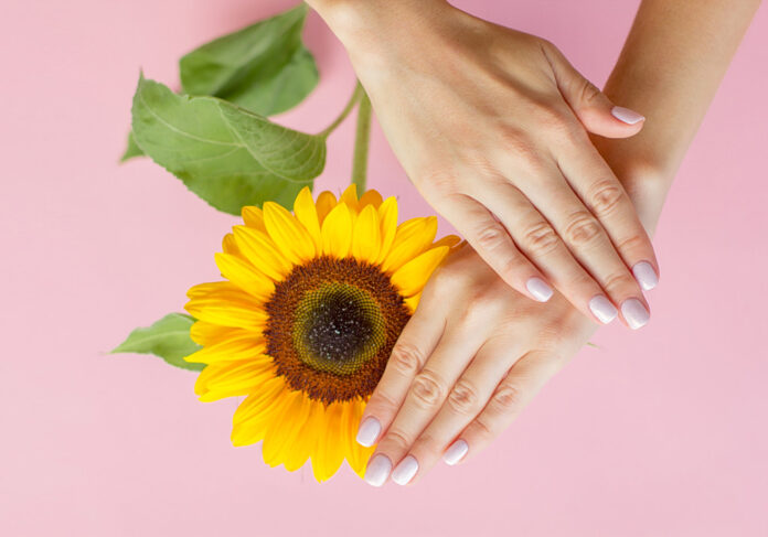 sunflower nails 1024x717.jpg sunflower nails 1024x717.jpg