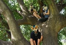therians 1200x630.jpg