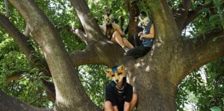 therians 1200x630.jpg