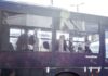 tithorea 2 1 1200x630.jpg