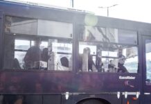 tithorea 2 1 1200x630.jpg