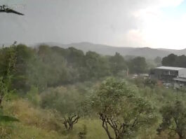 trikala mpourini 22052026 1200x630.jpg