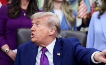 trump 1 2 1200x630.jpg