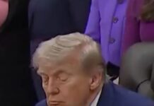 trump 1 3 1200x630.jpg