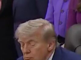 trump 1 3 1200x630.jpg