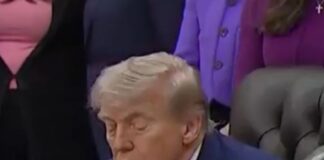 trump 1 3 1200x630.jpg