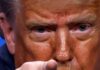 trump 11 1200x630.jpg