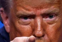 trump 11 1200x630.jpg