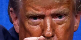 trump 11 1200x630.jpg