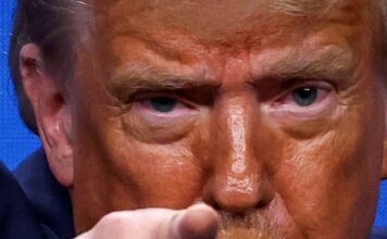 trump 11 1200x630.jpg