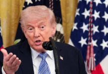 trump 1200x630.jpg