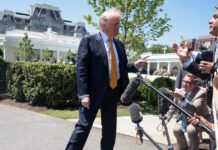 trump 3 1200x630.jpg