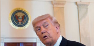 trump 5 1200x630.jpg
