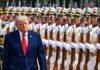 trump 7 1200x630.jpg