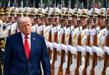trump 7 1200x630.jpg