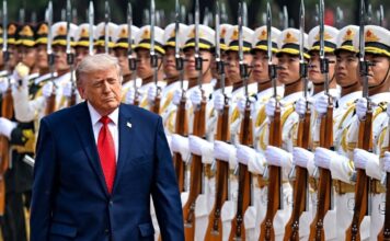 trump 7 1200x630.jpg