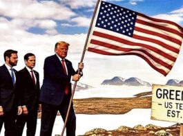 trump ai 1200x630.jpg