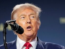 trump2 1 1 1200x630.jpg