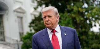 trump2 1 1200x630.jpg