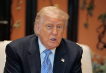 trump3 1200x630.jpg