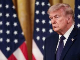 trump6 1 1200x630.jpg