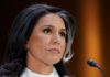 tulsi gabbard 1200x630.jpg