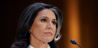 tulsi gabbard 1200x630.jpg