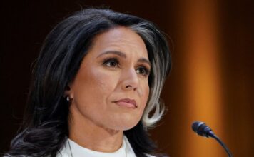 tulsi gabbard 1200x630.jpg