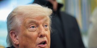 usa trump 1200x630.jpg
