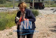 xatsiko nafpaktia 12052026 1200x630.jpg