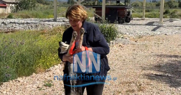 xatsiko nafpaktia 12052026 1200x630.jpg