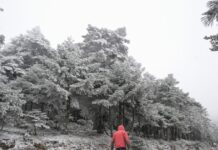 xioni parnitha eurok 1200x630.jpeg