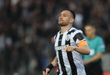 zivkovic 1200x630.jpg