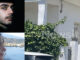 aigio dolofonia 1200x630.jpg