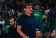 ataman 3 1200x630.jpg