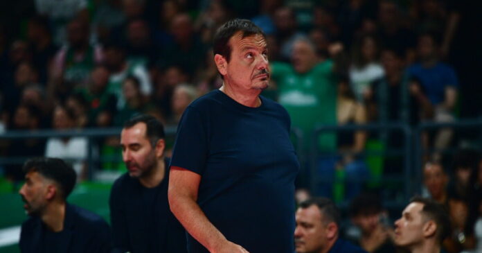 ataman 3 1200x630.jpg