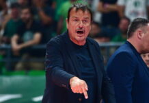 ataman 6 1200x630.jpg