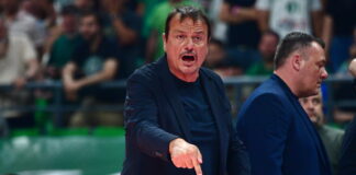 ataman 6 1200x630.jpg
