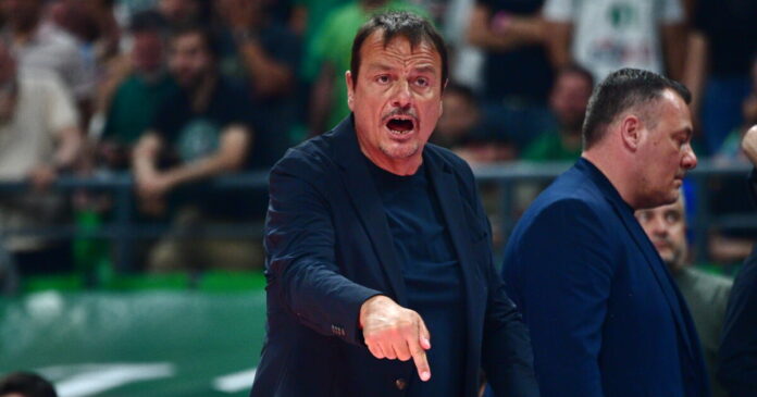 ataman 6 1200x630.jpg ataman 6 1200x630.jpg