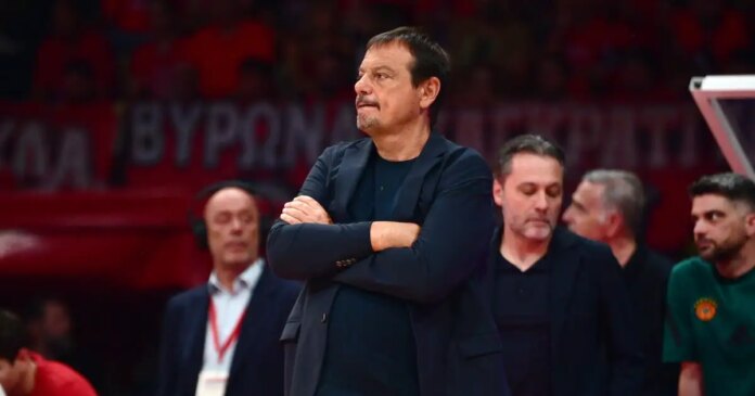 ataman-7-1200x630.jpg