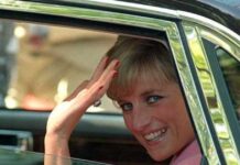 diana 2 1 1200x630.jpg