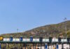 diodia 1 1200x630.jpg