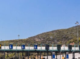 diodia 1 1200x630.jpg