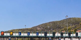 diodia 1 1200x630.jpg