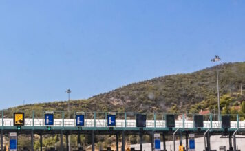diodia 1 1200x630.jpg
