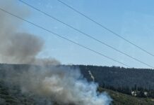 Φωτιά στα Πεύκα Θεσσαλονίκης: Καίει σε δασική περιοχή – Ήχησε το 112 fotia 1 1 1200x630.jpg
